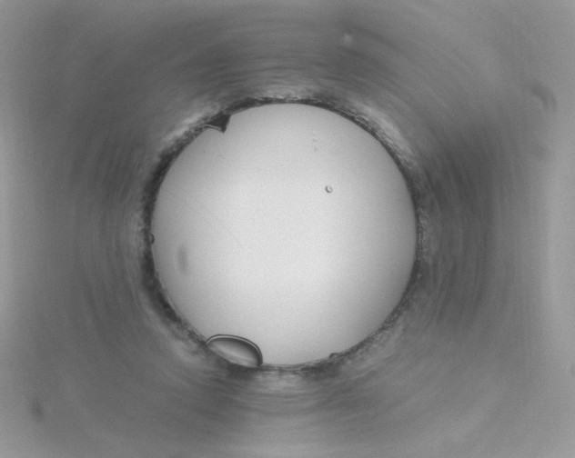 X0000115480354200911271333