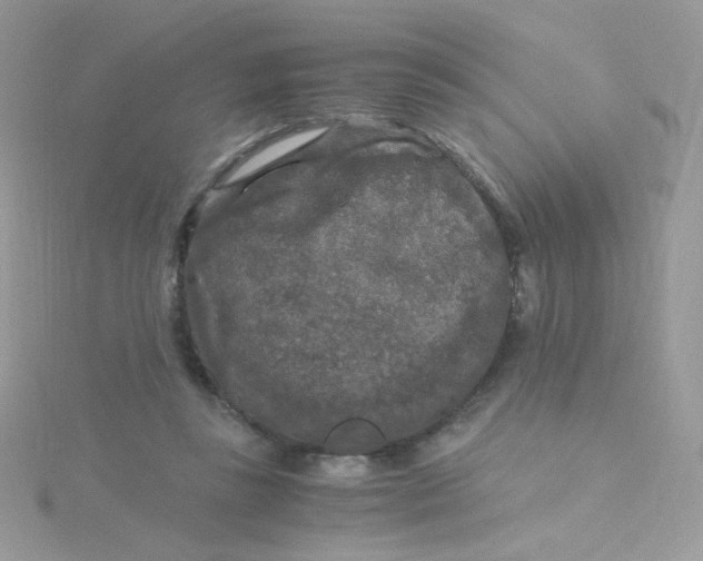 X0000115480355200911271333