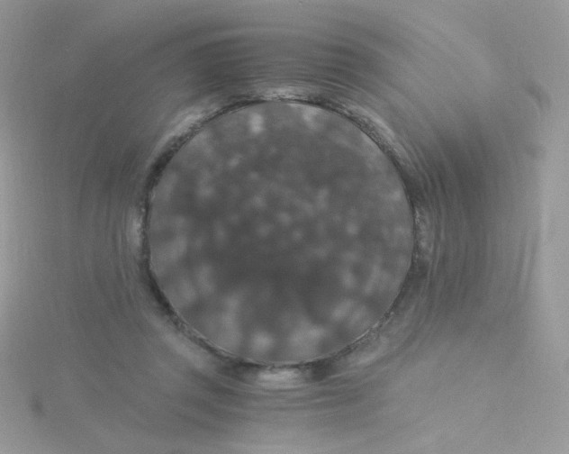 X0000115480357200911271333