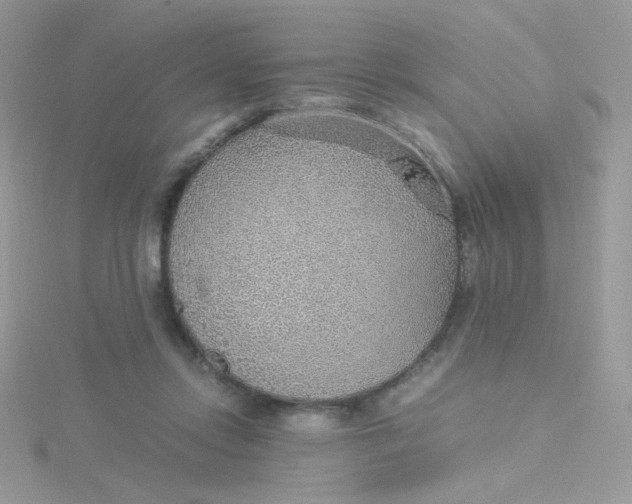 X0000115480358200911271333