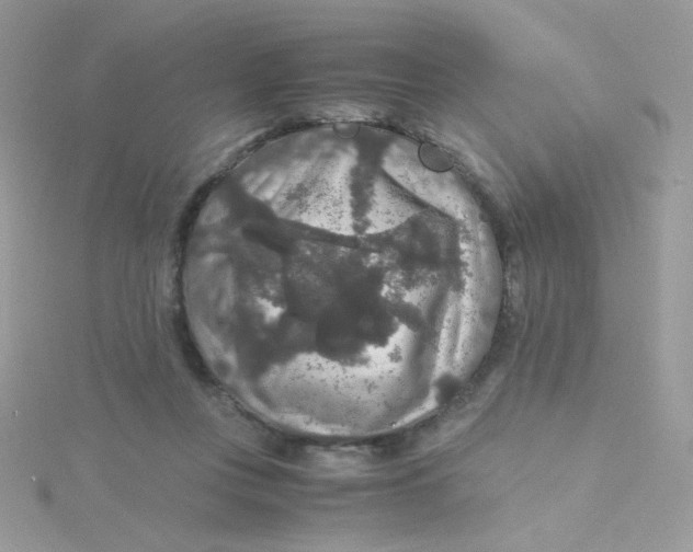 X0000115480359200911271333