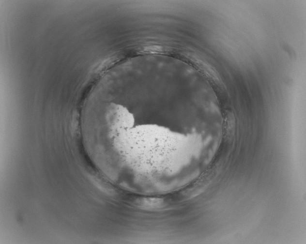 X0000115480361200911271333