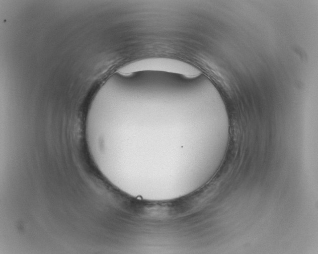 X0000115480362200911271333