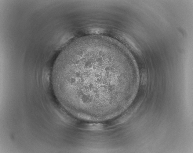 X0000115480363200911271333