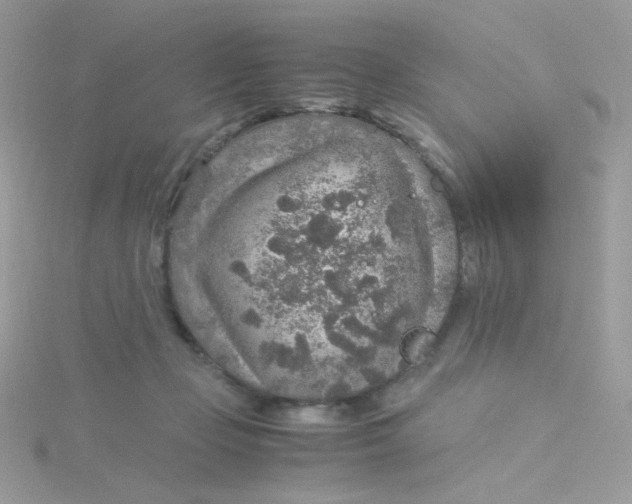 X0000115480365200911271333