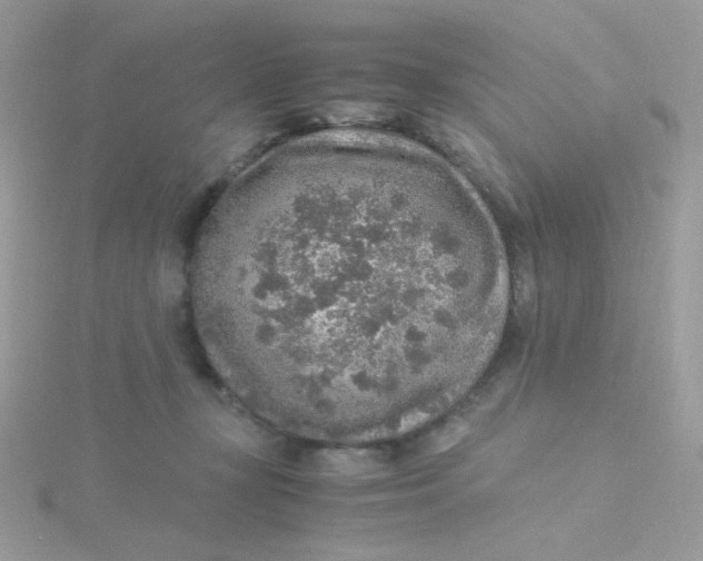 X0000115480367200911271333