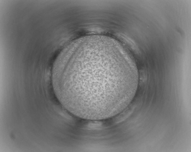 X0000115480369200911271333