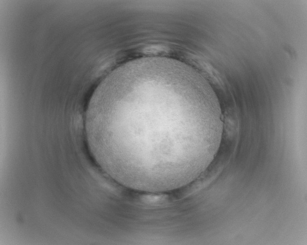 X0000115480375200911271333