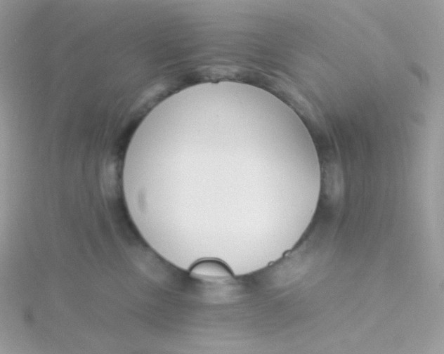 X0000115480378200911271333