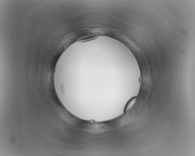 X0000115480379200911271333