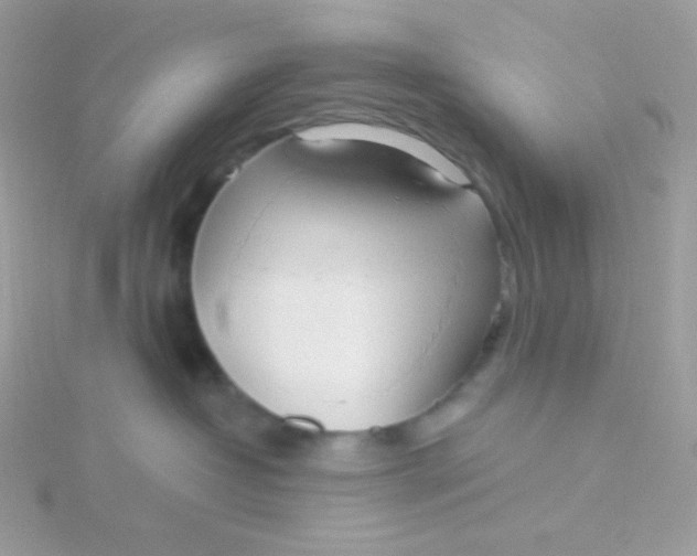 X0000115480382200911271333