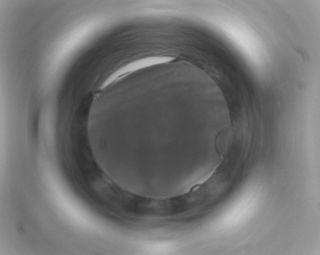 X0000115480383200911271333