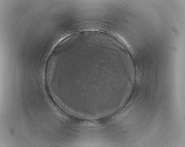 X0000115480386200911271332