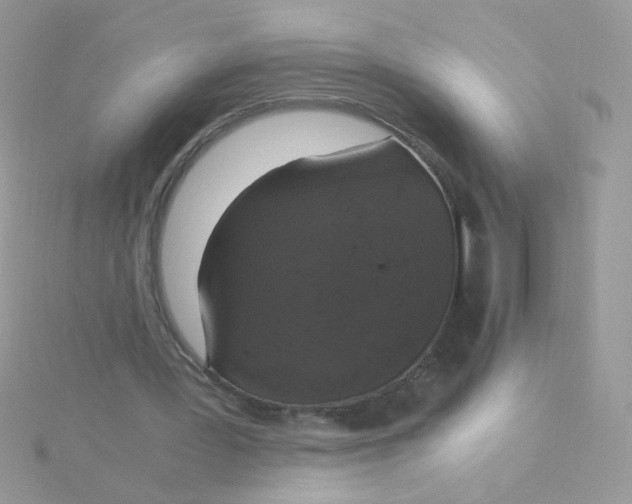 X0000115480387200911271332