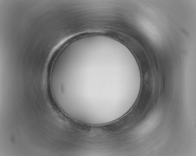 X0000115480388200911271332