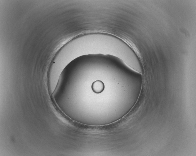 X0000115480389200911271332