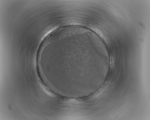 X0000115480390200911271332