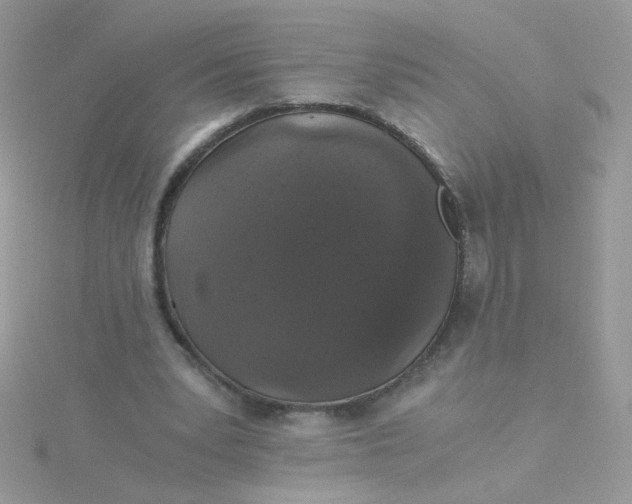 X0000115480391200911271332