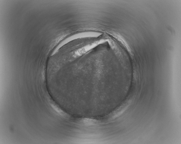 X0000115480393200911271332