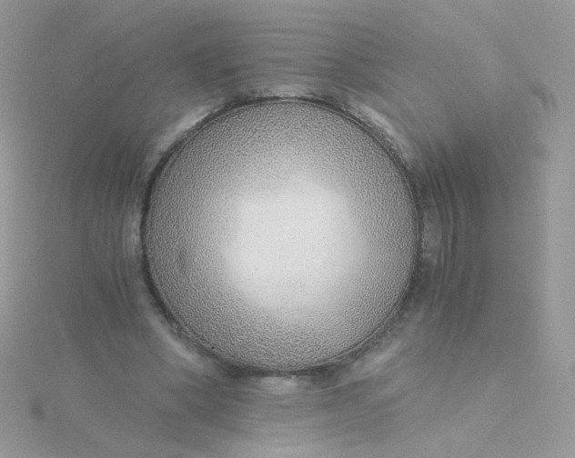 X0000115480394200911271332