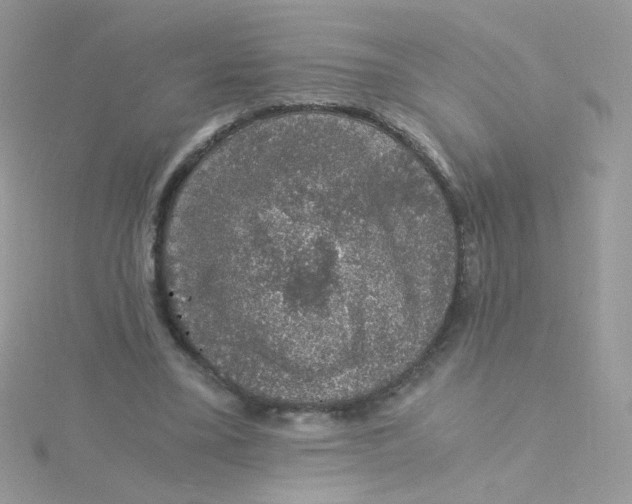 X0000115480395200911271332