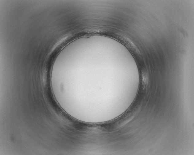 X0000115480396200911271332