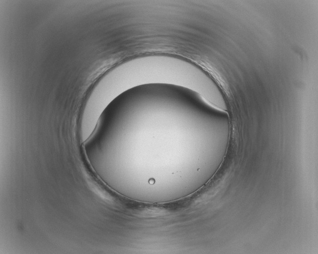 X0000115480397200911271332