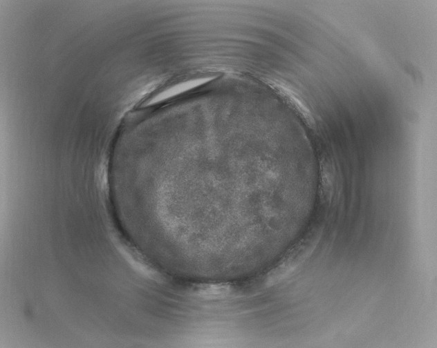 X0000115480398200911271332