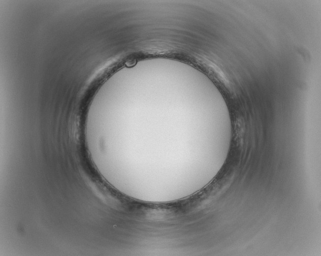 X0000115480400200911271332