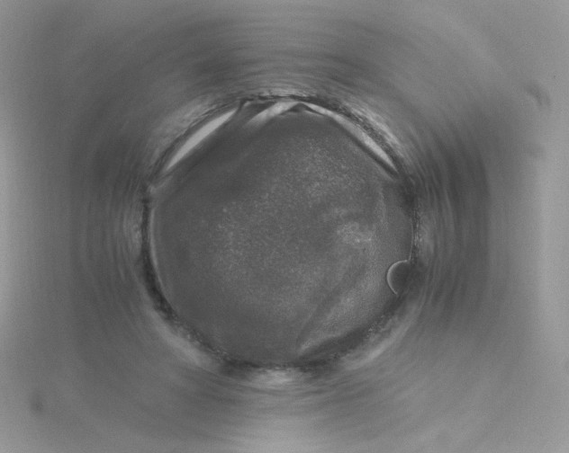 X0000115480402200911271332