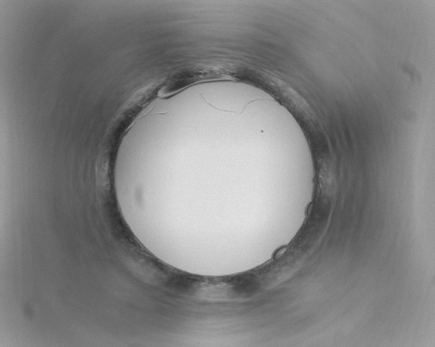 X0000115480403200911271332