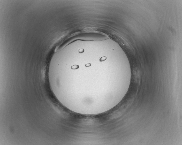 X0000115480404200911271332