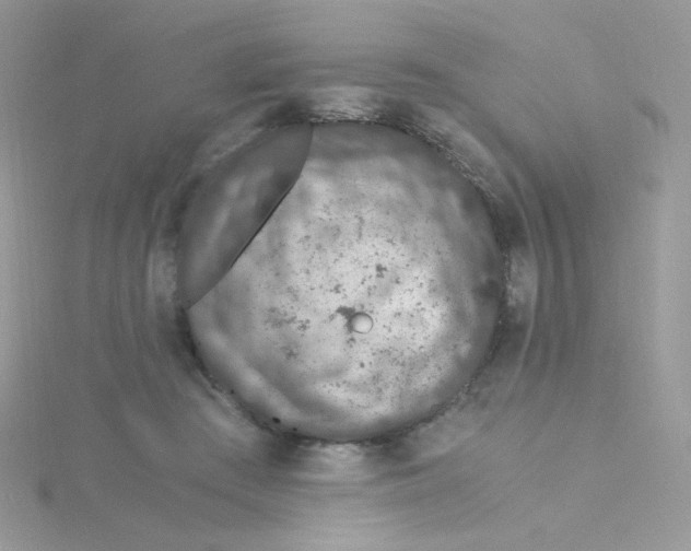 X0000115480409200911271332