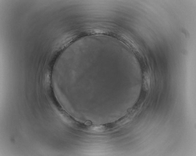 X0000115480410200911271332