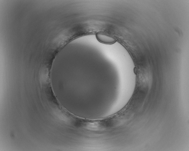 X0000115480411200911271332