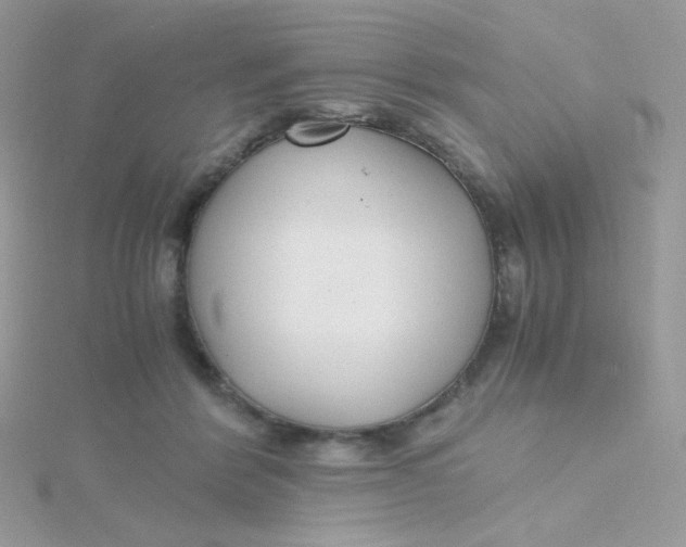 X0000115480412200911271332