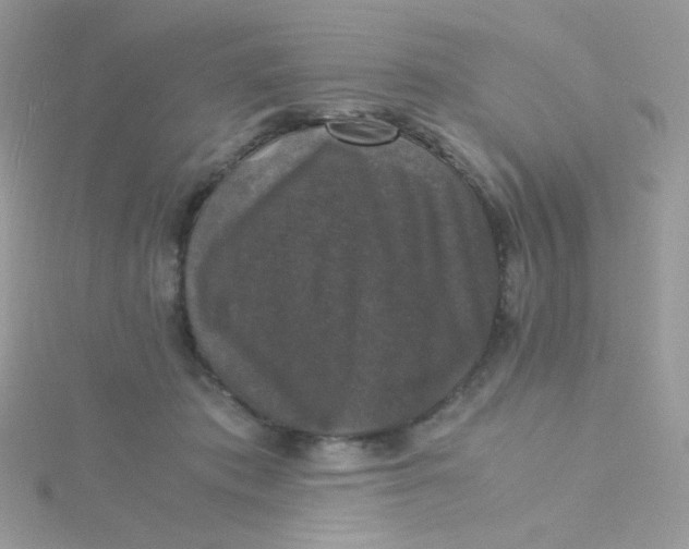 X0000115480413200911271332