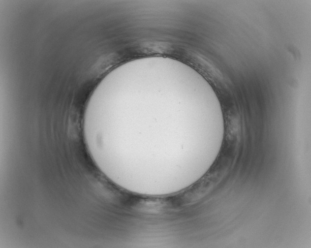 X0000115480414200911271332