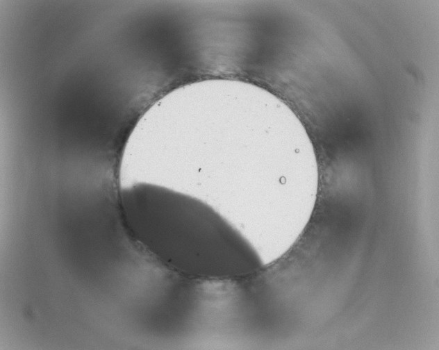 X0000115480415200911271332