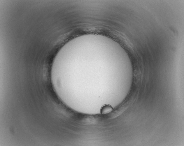 X0000115480416200911271332