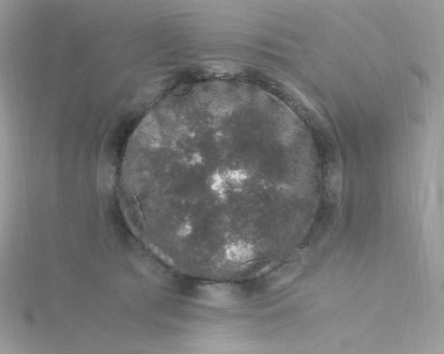 X0000115480417200911271332