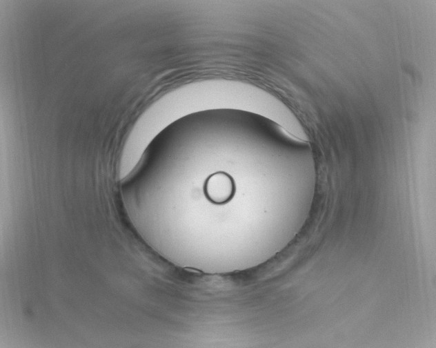 X0000115480421200911271332