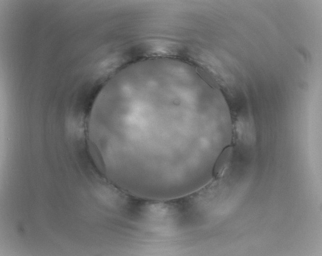 X0000115480423200911271332