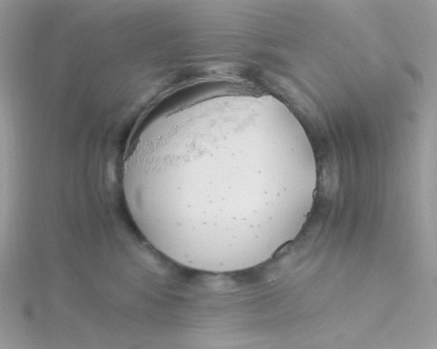 X0000115480424200911271332