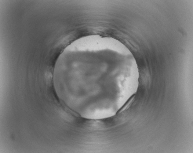 X0000115480427200911271332