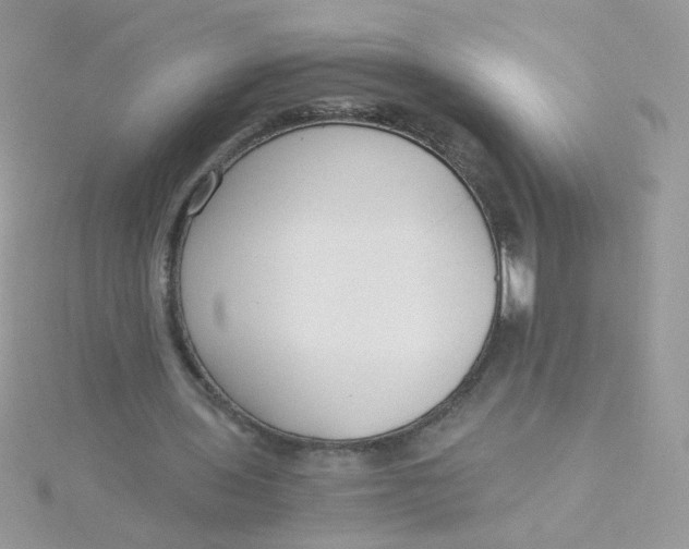 X0000115480435200911271331