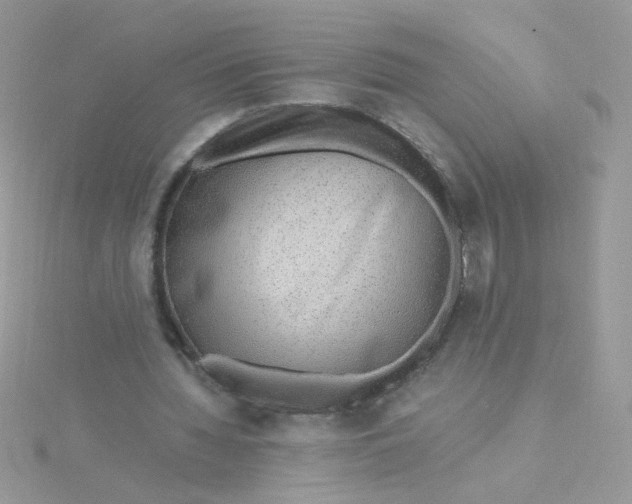 X0000115480436200911271331