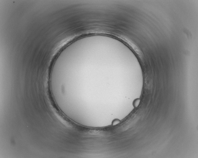 X0000115480437200911271331