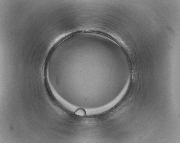 X0000115480438200911271331