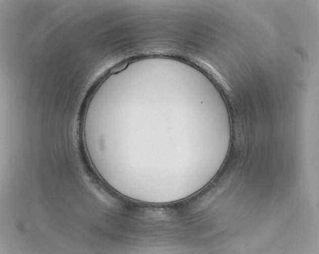 X0000115480439200911271331